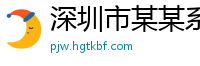 深圳市某某系统技术维修站