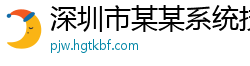 深圳市某某系统技术维修站